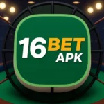 image 4DYUcIsRgyUrkAxyKS2kc 116bet